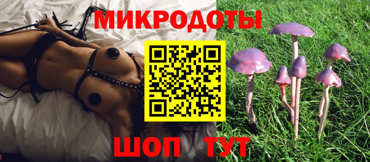 Псилоцибиновые грибы MAGIC MUSHROOMS  Шуя 