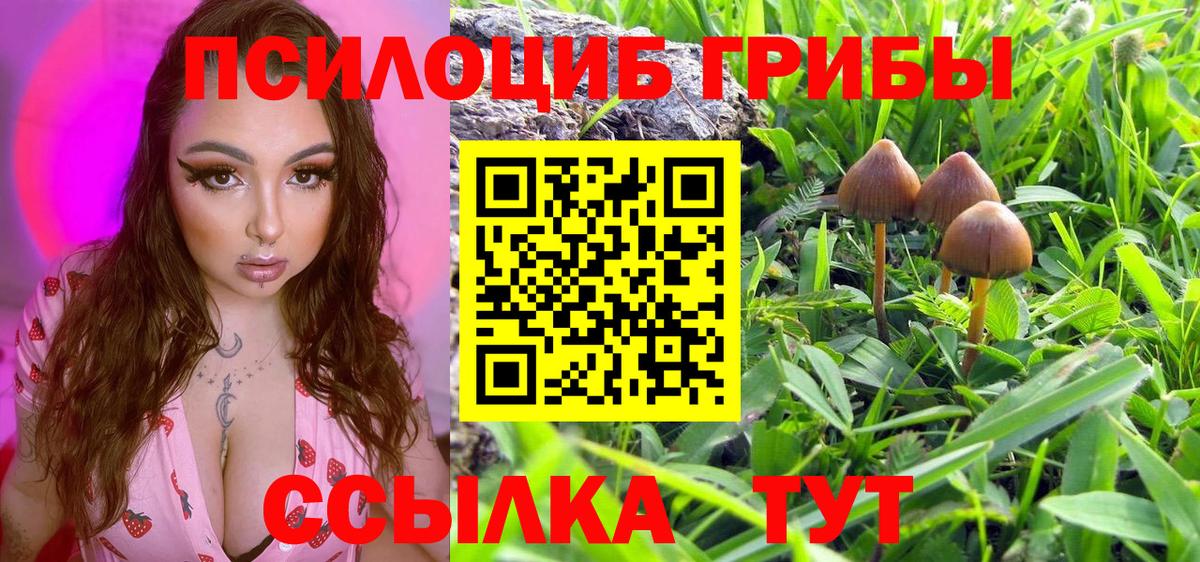 ГАШИШ  КОКАИН  Шуя  Мефедрон   A PVP СОЛЬ кристаллы  Вход с VPN  Гашиш  МДМА  Лсд 25  Каннабис  Как найти наркотики? 
