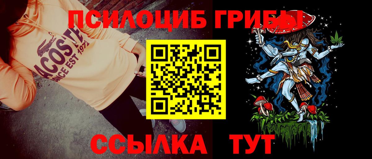 Шуя  Псилоцибиновые грибы прущие грибы  Вход с VPN 