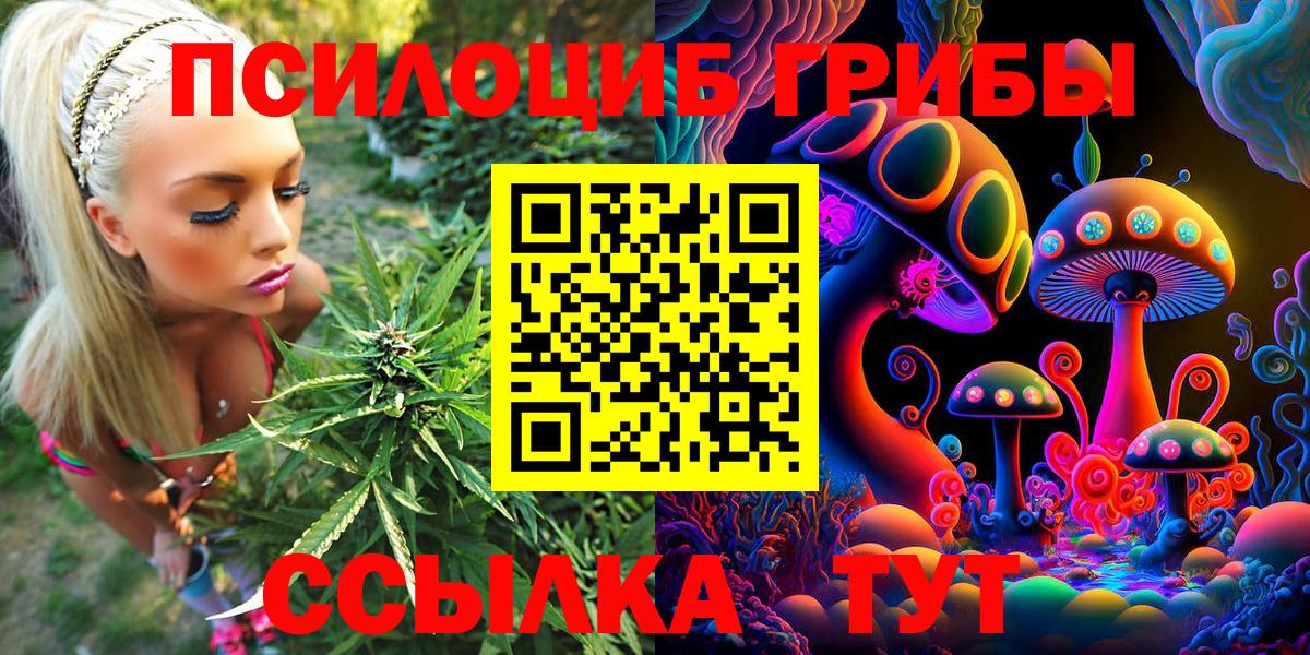 Галлюциногенные грибы Psilocybine cubensis Шуя